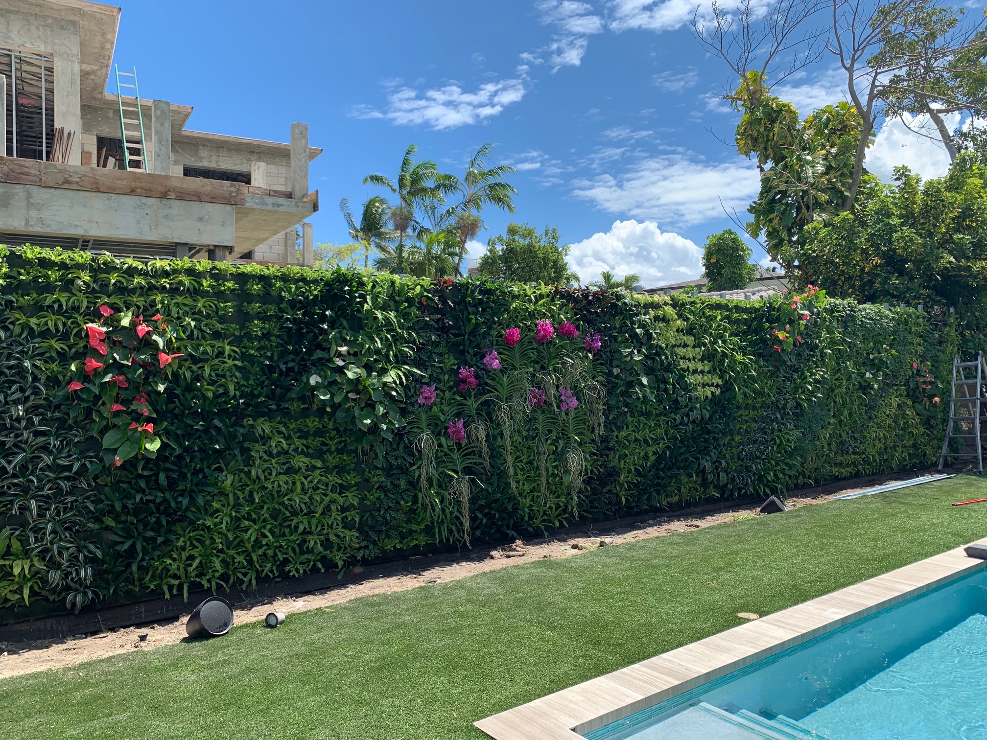 Miami Vertical Garden living green wall